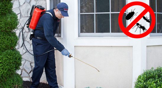 Ilıca Fare İlaçlama böcek ilaçlama ve haşere kontrolü — ilaclama-tr.com